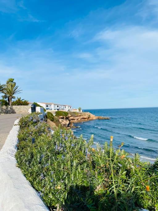 Casa De Flores Torrevieja Exterior foto